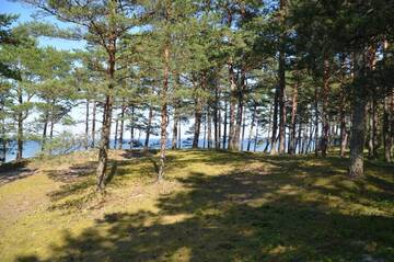 Фото номера Дом для отпуска Кемпинги Lohusalu Accommodation г. Лохусалу 12